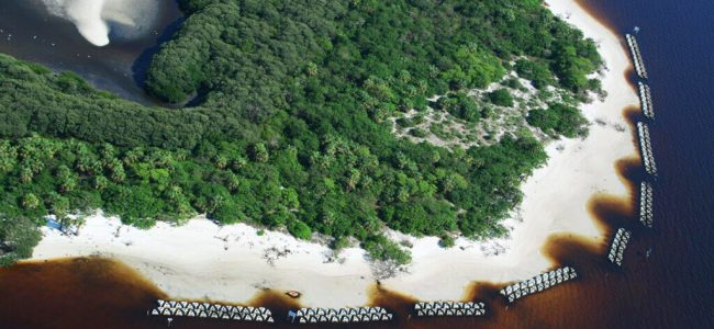 Sand accretes behind Wave Attenuation Devices (WADs) to rebuild the shoreline at the Florida Audubon Alafia Banks Sanctuary